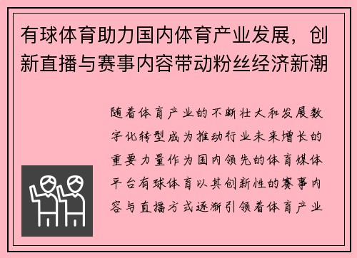 有球体育助力国内体育产业发展，创新直播与赛事内容带动粉丝经济新潮流